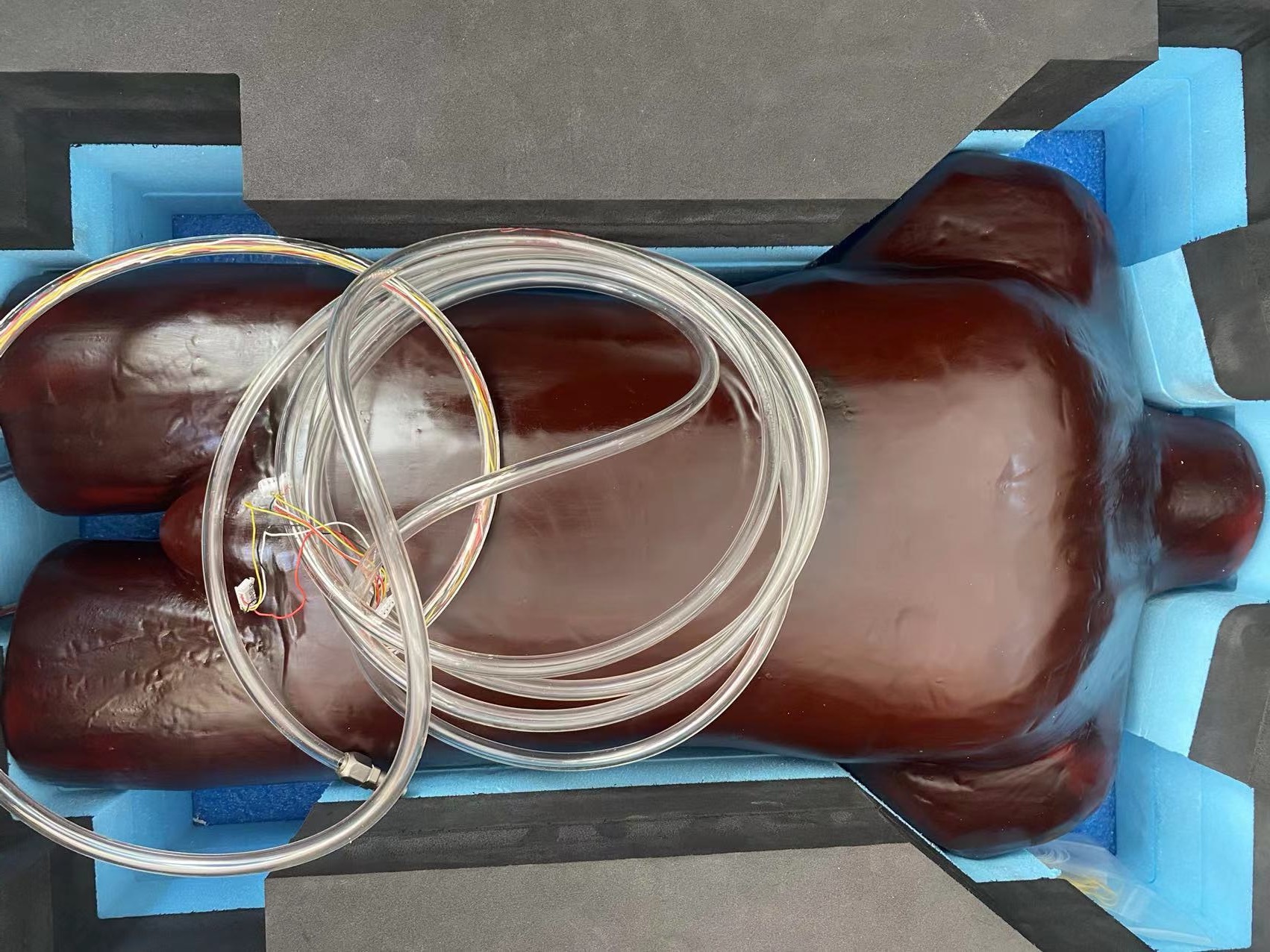 成人軀干模體-心肺運(yùn)動軀干模體